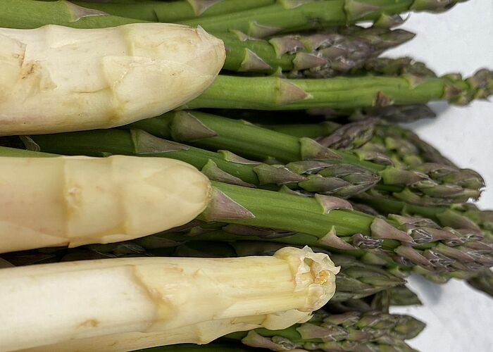 Gemeinsam Kochen: Spargel