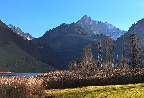 *AUSGEBUCHT* Seniorenferien am Schwarzsee