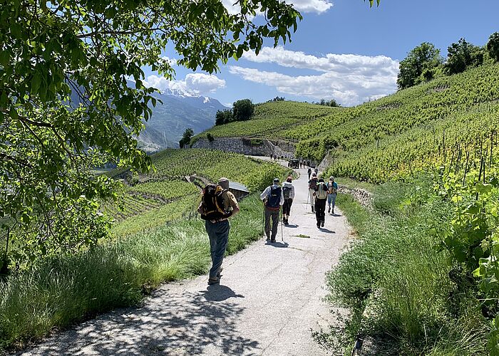 Rückblick auf die Pilgerwanderung von Sierre nach Vétroz