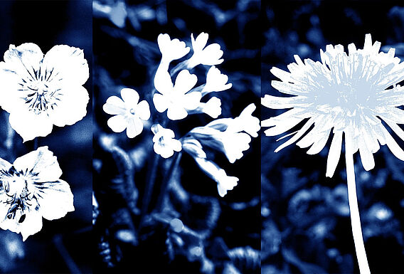 Meditation im Kirchgarten