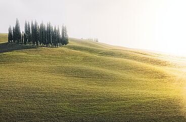Morgenlob - sich einstimmen und zusammen klingen