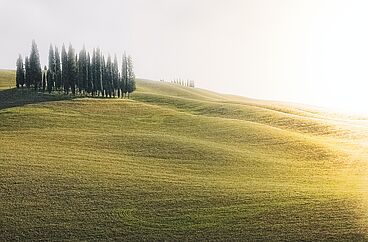 Morgenlob - sich einstimmen und zusammen klingen
