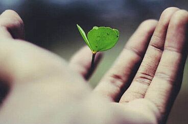 Wunsch nach einem Besuch