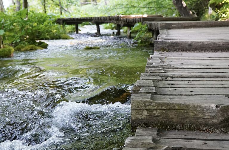 Begleitung in der Trauer - ein neues Gruppenangebot