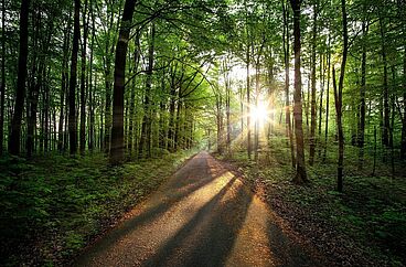 Gemeinsam den Tag begrüssen